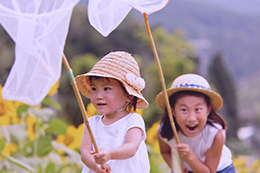 夏をさがしに