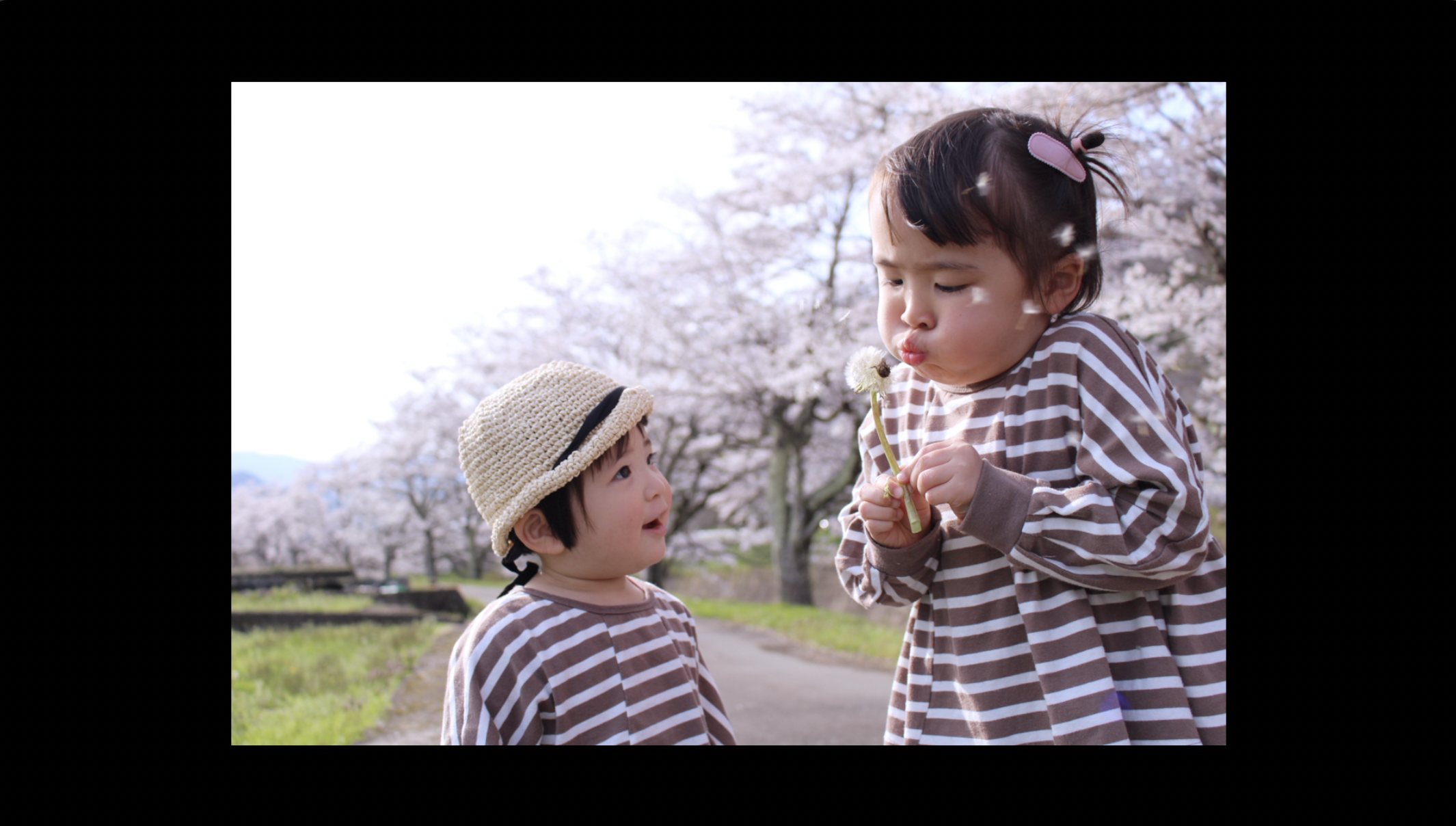 春のおさんぽ