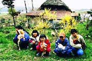 「木島家の子供たち」
