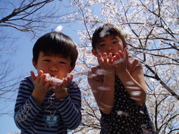 「さくらいっぱい」