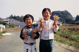 「里の兄弟」