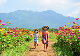 「夏の小路」