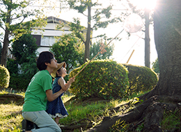 「夏の思い出」