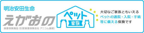 明治安田生命 損害保険 明治安田生命 損害保険