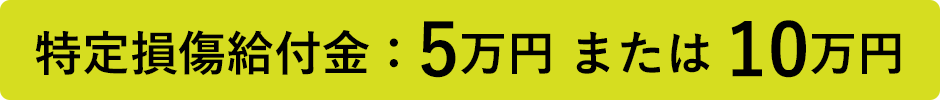 特定損傷給付金:5万円 または 10万円