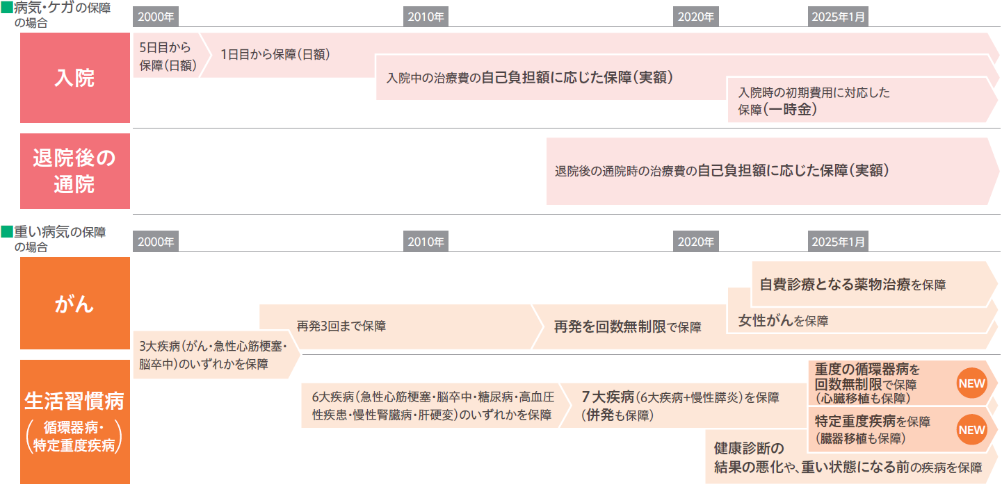 主な医療保障・生活保障の変遷(例)