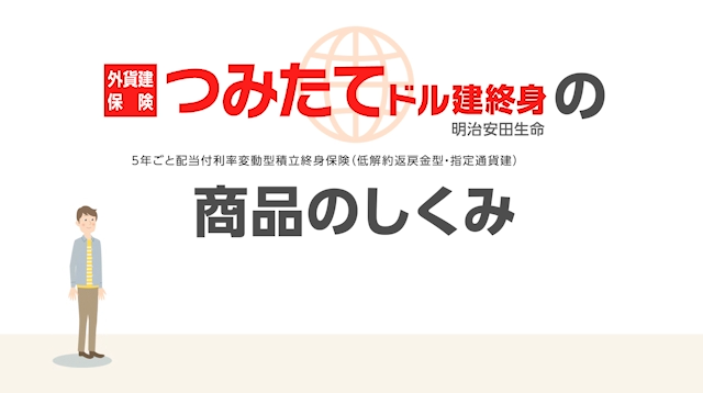 つみたてドル建終身の商品のしくみ