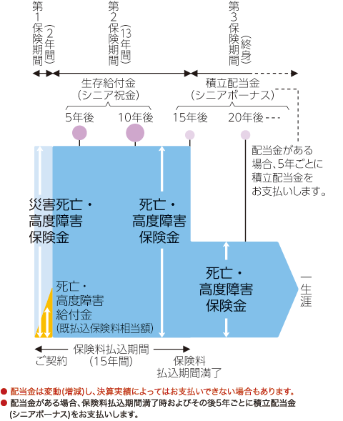 祝金付シニアプラン しくみ図