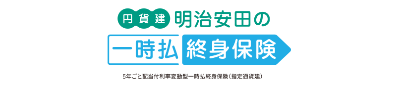 円貨建・明治安田の一時払終身保険