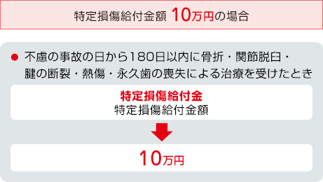 お支払事由図 特定損傷給付金額 10万円の場合