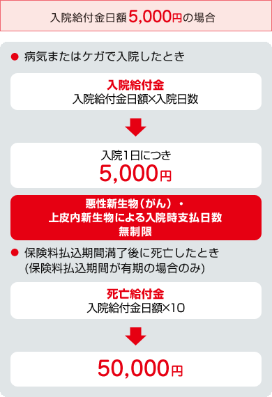 お支払事由図 病気またはケガで入院したとき