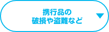 携行品の破損や盗難など