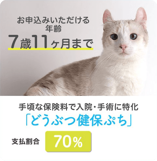 お申込みいただける年齢11ヶ月まで手頃な保険料で入院・手術に特化「どうぶつ健保ぷち」支払割合70%