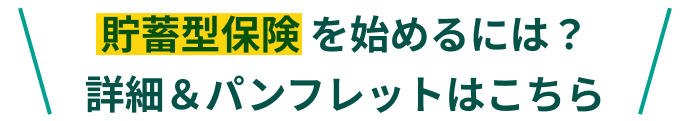 将来の自分に備える貯蓄型おすすめ保険