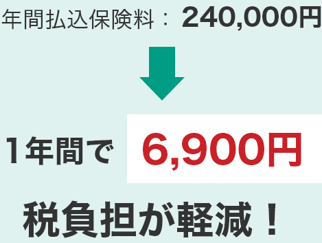 年間払込保険料：240,000円。1年間で6,900円税負担が軽減！