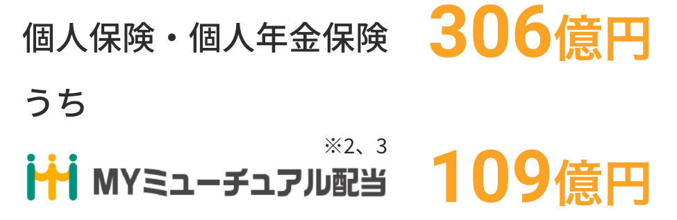 個人保険・個人年金保険 306億円 うち MYミューチュアル配当 109億円