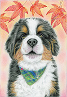 第5回 金賞作品例