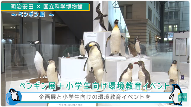 明治安田×国立科学博物館〜ペンギン展を開催〜