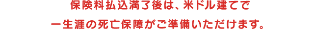 保険料払込満了後は、米ドル建てで一生涯の死亡保障がご準備いただけます。