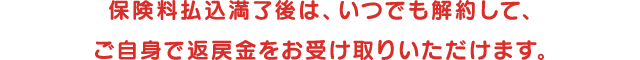 保険料払込満了後は、いつでも解約して、ご自身で返戻金をお受け取りいただけます。