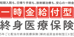一時金給付型終身医療保険