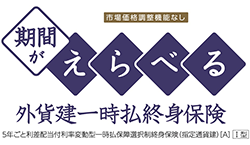 期間がえらべる外貨建一時払終身保険