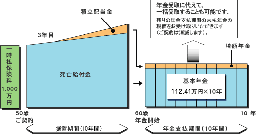 定額年金Ｓ しくみ図