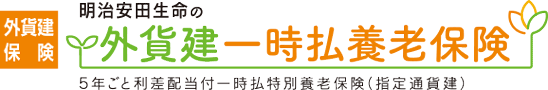 外貨建・一時払養老保険 【みずほ銀行用】