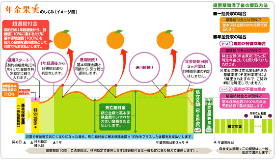 年金果実のしくみ(イメージ図)
